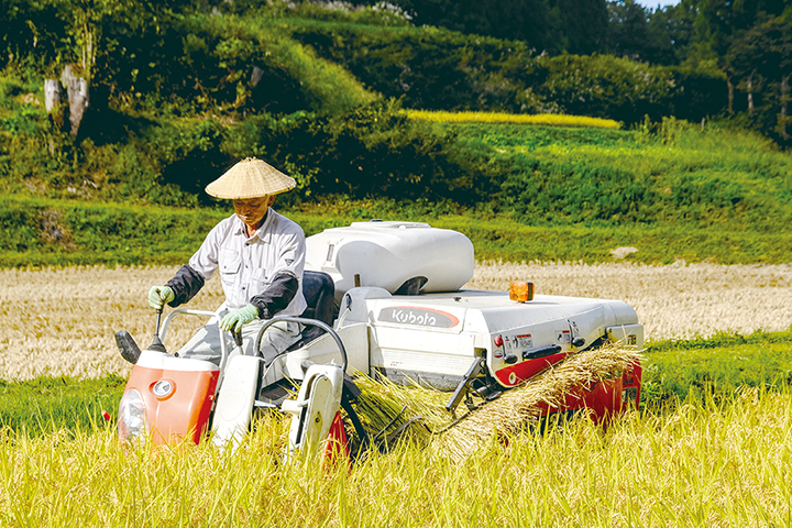 中尾の生産者（松之山）