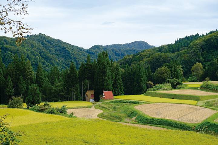 布川の棚田群（中尾の棚田）