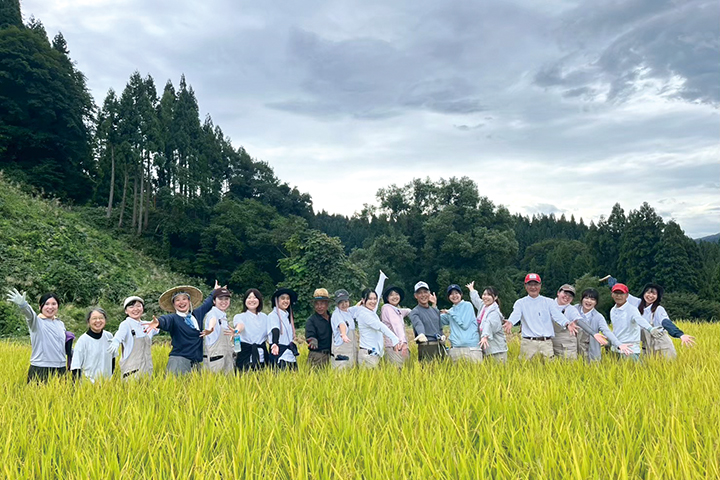 布川の棚田群（大学交流田の稲刈り）